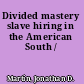 Divided mastery slave hiring in the American South /