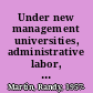 Under new management universities, administrative labor, and the professional turn /