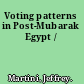 Voting patterns in Post-Mubarak Egypt /