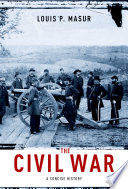 The Civil War a concise history /