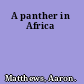 A panther in Africa