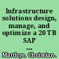 Infrastructure solutions design, manage, and optimize a 20 TB SAP NetWeaver business intelligence data warehouse /