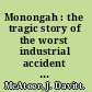 Monongah : the tragic story of the worst industrial accident in US history /