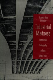 Industrial madness : commercial photography in Paris, 1848-1871 /