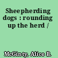 Sheepherding dogs : rounding up the herd /