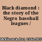 Black diamond : the story of the Negro baseball leagues /