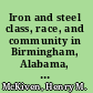 Iron and steel class, race, and community in Birmingham, Alabama, 1875-1920 /