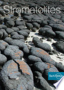 Stromatolites