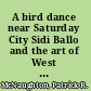 A bird dance near Saturday City Sidi Ballo and the art of West African masquerade /