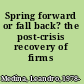 Spring forward or fall back? the post-crisis recovery of firms /