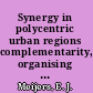 Synergy in polycentric urban regions complementarity, organising capacity and critical mass /