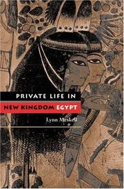 Private life in New Kingdom Egypt /