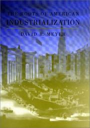 The roots of American industrialization /