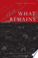 What remains coming to terms with civil war in 19th century China /