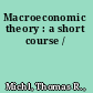 Macroeconomic theory : a short course /