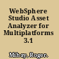 WebSphere Studio Asset Analyzer for Multiplatforms 3.1