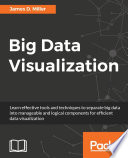 Big data visualization /