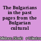The Bulgarians in the past pages from the Bulgarian cultural history.