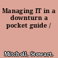 Managing IT in a downturn a pocket guide /