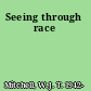 Seeing through race
