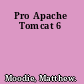 Pro Apache Tomcat 6