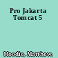 Pro Jakarta Tomcat 5