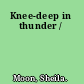 Knee-deep in thunder /