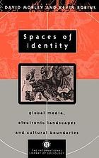 Spaces of identity : global media, electronic landscapes, and cultural boundaries /
