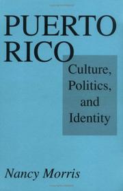 Puerto Rico : culture, politics, and identity /