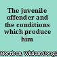 The juvenile offender and the conditions which produce him /