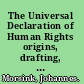 The Universal Declaration of Human Rights origins, drafting, and intent /