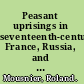 Peasant uprisings in seventeenth-century France, Russia, and China /