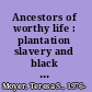 Ancestors of worthy life : plantation slavery and black heritage at Mount Clare /
