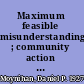 Maximum feasible misunderstanding ; community action in the war on poverty /