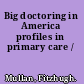 Big doctoring in America profiles in primary care /