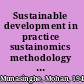 Sustainable development in practice sustainomics methodology and applications /