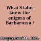 What Stalin knew the enigma of Barbarossa /