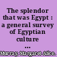 The splendor that was Egypt : a general survey of Egyptian culture and civilization /