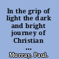 In the grip of light the dark and bright journey of Christian contemplation /