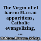 The Virgin of el barrio Marian apparitions, Catholic evangelizing, and Mexican American activism /