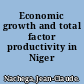 Economic growth and total factor productivity in Niger