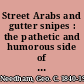 Street Arabs and gutter snipes : the pathetic and humorous side of young vagabond life in the great cities, with records of work for their reclamation /