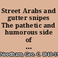 Street Arabs and gutter snipes The pathetic and humorous side of young vagabond life in the great cities, with records of work for their reclamation.