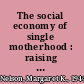 The social economy of single motherhood : raising children in rural America /