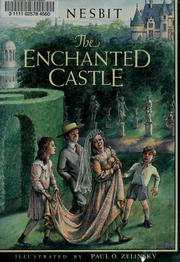 The enchanted castle /