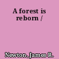 A forest is reborn /