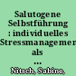 Salutogene Selbstführung : individuelles Stressmanagement als eine Möglichkeit salutogener Selbstführung für Führungskräfte in Sozialberufen in Deutschland /