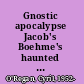Gnostic apocalypse Jacob's Boehme's haunted narrative /