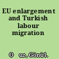 EU enlargement and Turkish labour migration