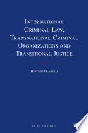International criminal law : transnational criminal organizations and transitional justice /